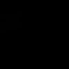 ice429